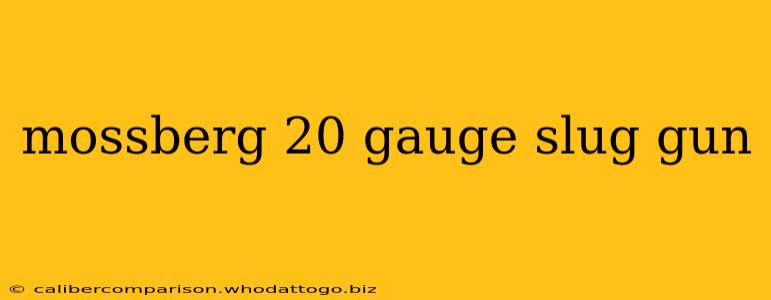 mossberg 20 gauge slug gun