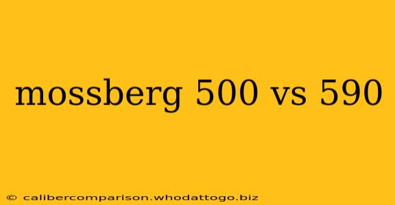 mossberg 500 vs 590