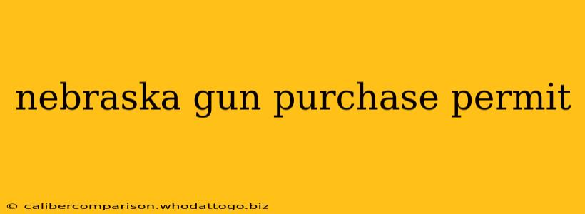 nebraska gun purchase permit