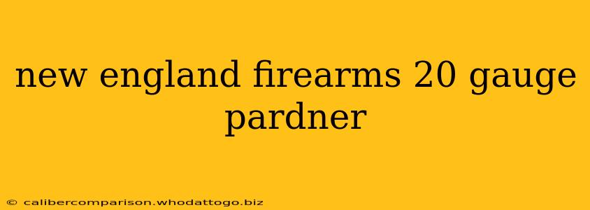 new england firearms 20 gauge pardner