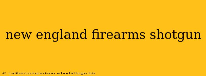 new england firearms shotgun