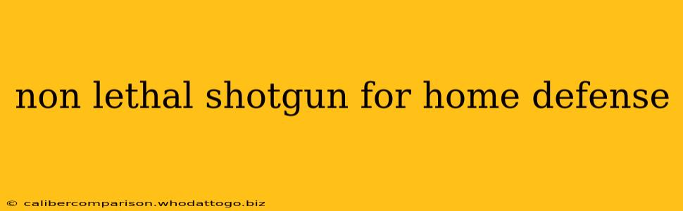 non lethal shotgun for home defense