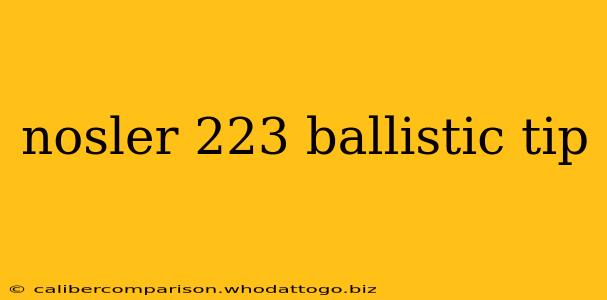 nosler 223 ballistic tip