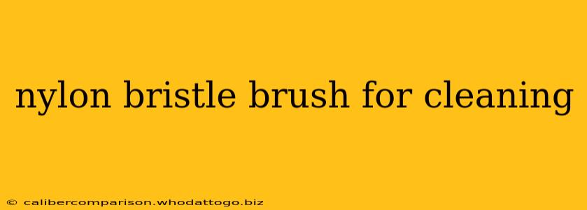 nylon bristle brush for cleaning