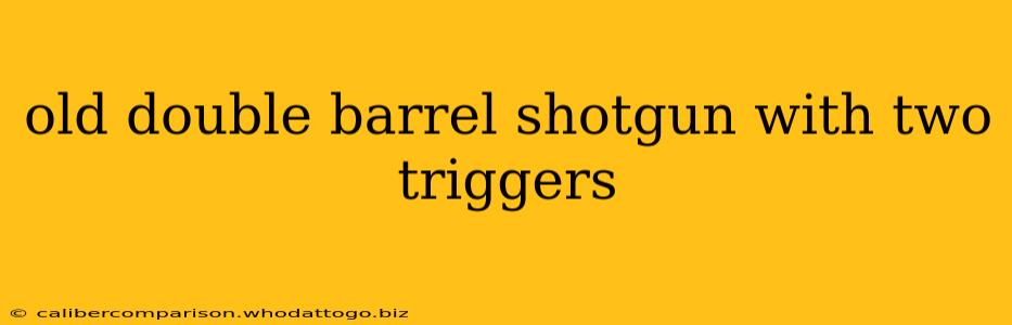 old double barrel shotgun with two triggers