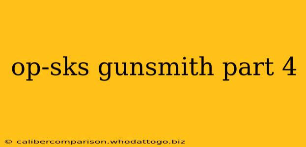 op-sks gunsmith part 4