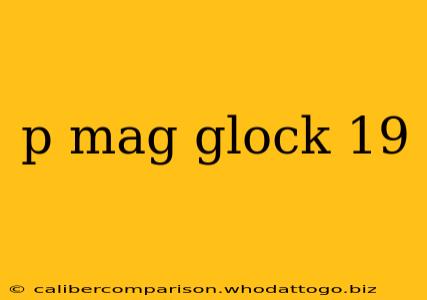 p mag glock 19