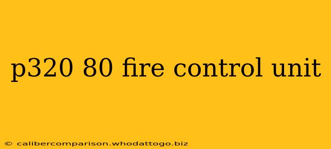 p320 80 fire control unit