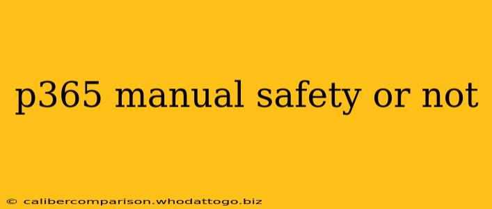 p365 manual safety or not