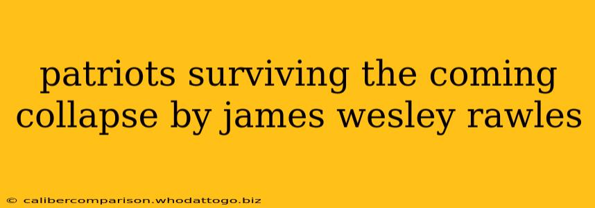 patriots surviving the coming collapse by james wesley rawles