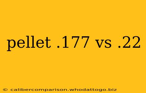 pellet .177 vs .22