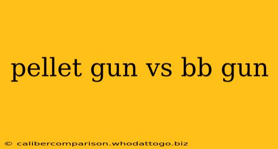 pellet gun vs bb gun