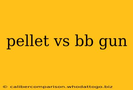 pellet vs bb gun