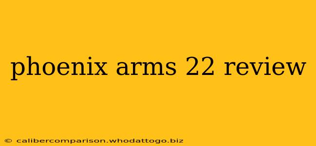 phoenix arms 22 review