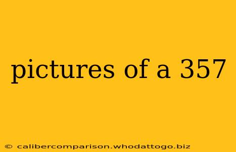 pictures of a 357