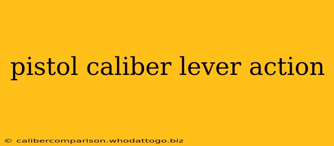 pistol caliber lever action