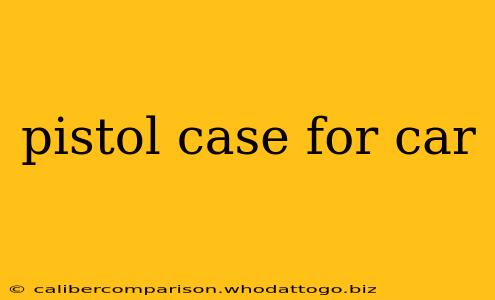 pistol case for car