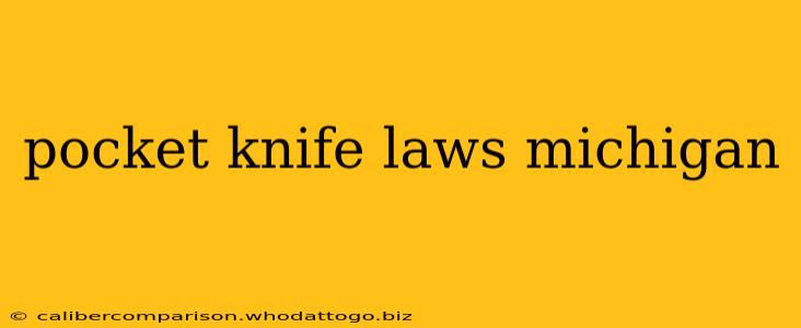 pocket knife laws michigan