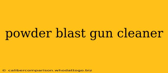 powder blast gun cleaner