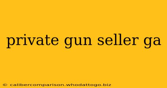 private gun seller ga