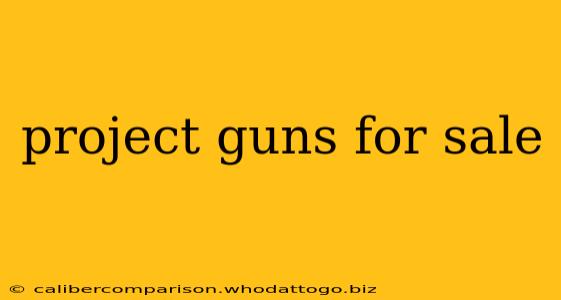 project guns for sale