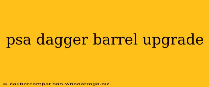 psa dagger barrel upgrade