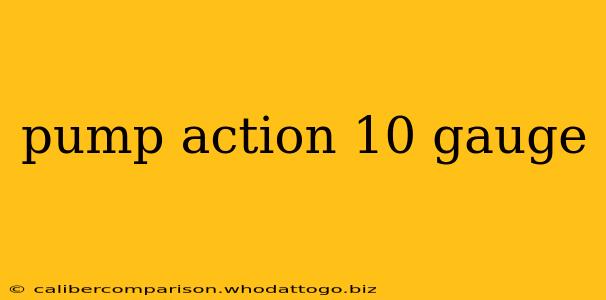 pump action 10 gauge