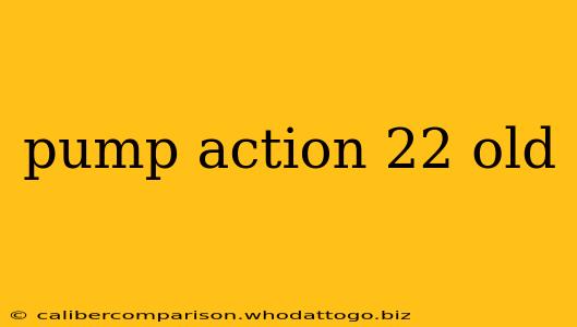 pump action 22 old