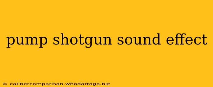 pump shotgun sound effect