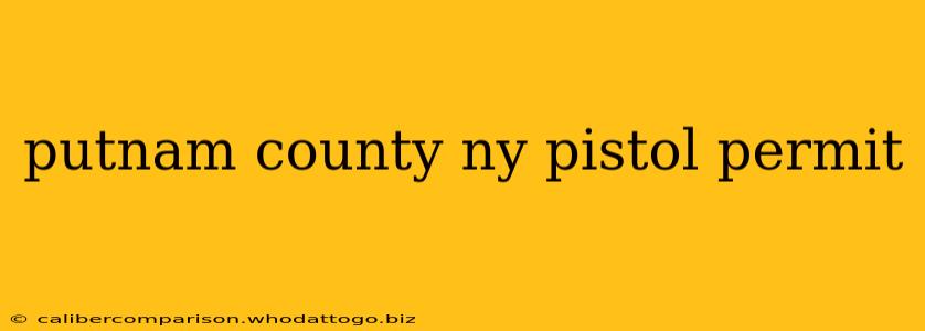 putnam county ny pistol permit