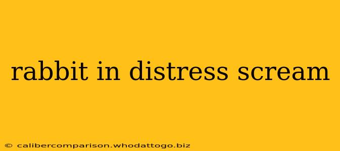 rabbit in distress scream