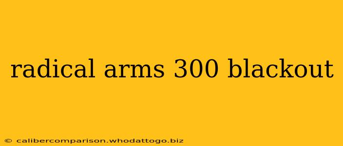 radical arms 300 blackout