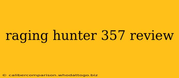 raging hunter 357 review