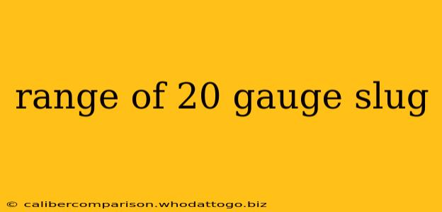 range of 20 gauge slug