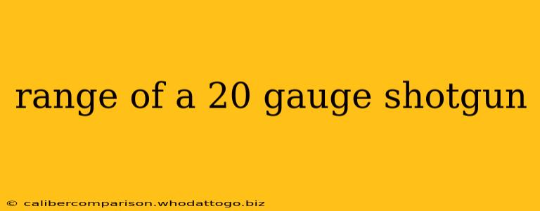 range of a 20 gauge shotgun