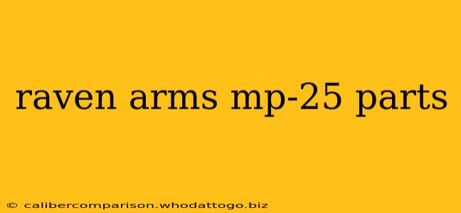 raven arms mp-25 parts