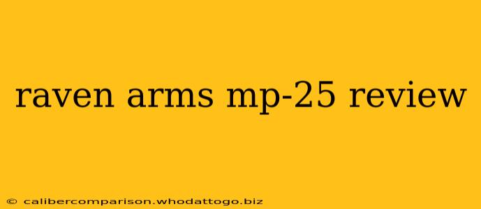 raven arms mp-25 review