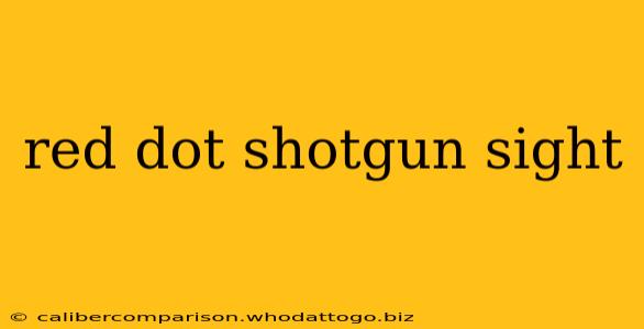 red dot shotgun sight