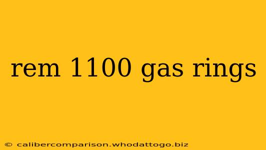 rem 1100 gas rings