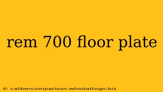 rem 700 floor plate