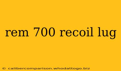 rem 700 recoil lug