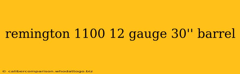 remington 1100 12 gauge 30'' barrel