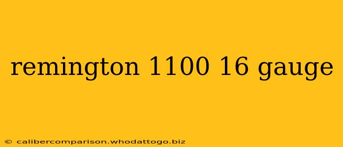 remington 1100 16 gauge