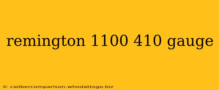 remington 1100 410 gauge