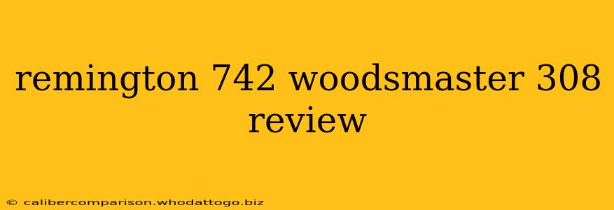 remington 742 woodsmaster 308 review