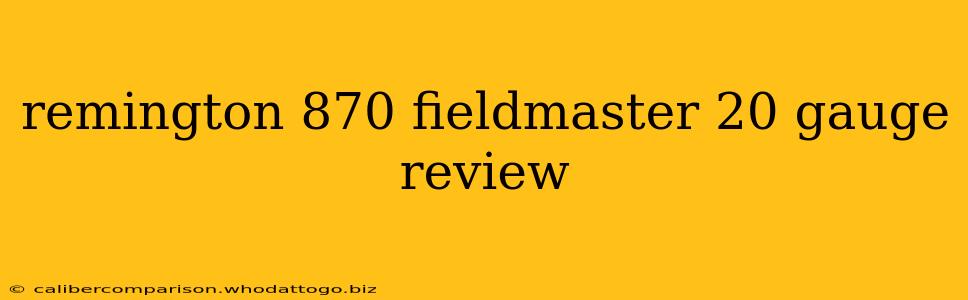 remington 870 fieldmaster 20 gauge review