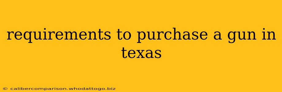 requirements to purchase a gun in texas