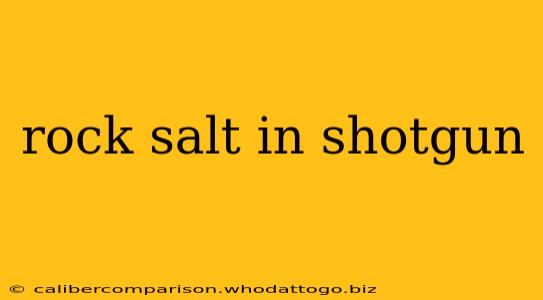 rock salt in shotgun