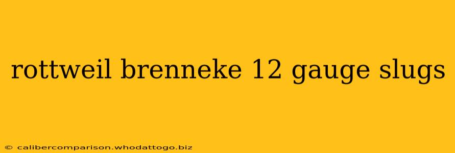 rottweil brenneke 12 gauge slugs