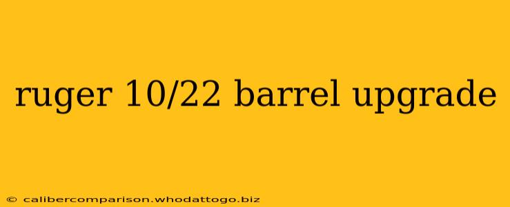 ruger 10/22 barrel upgrade